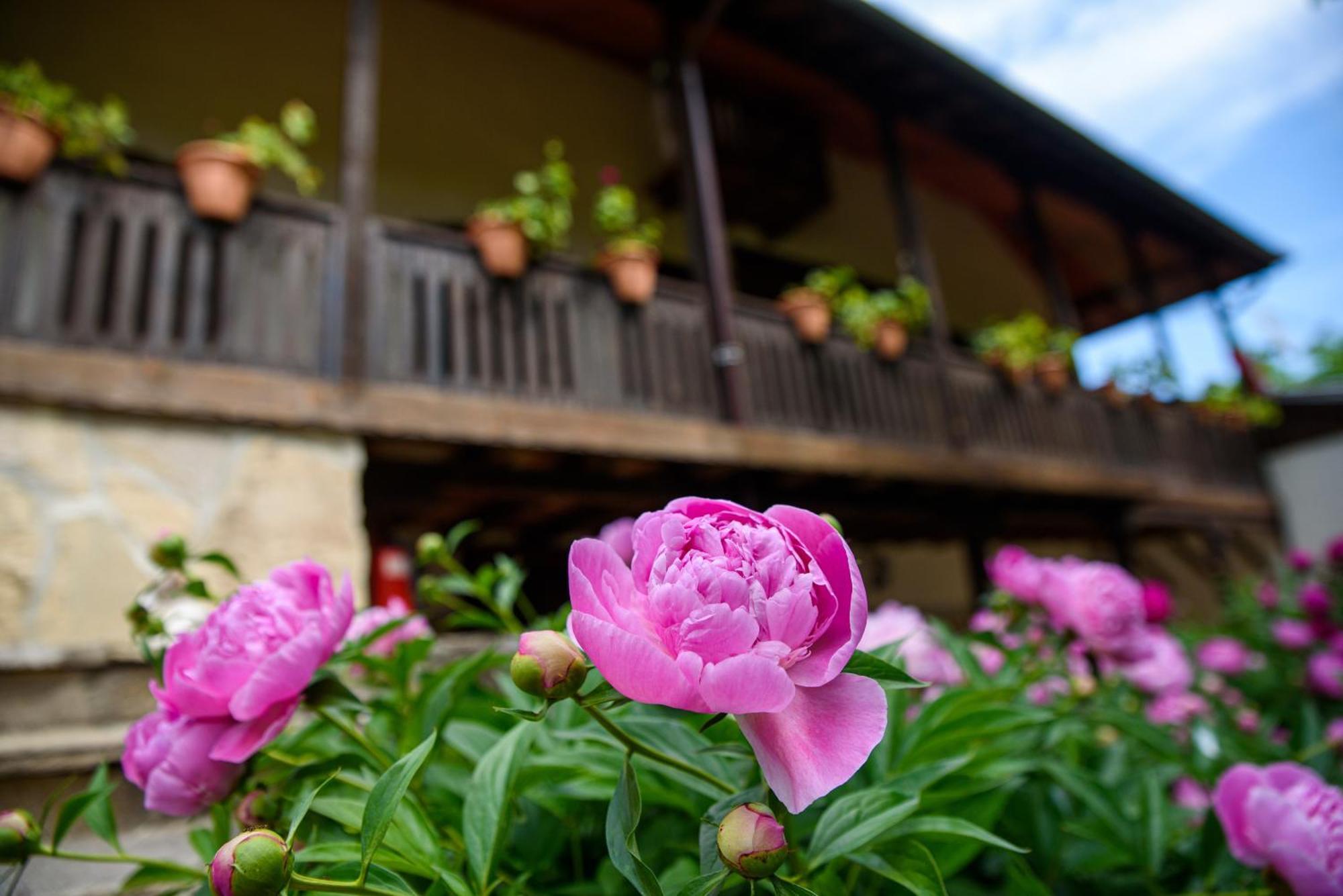 Guest House Balgara Vetren  Exterior foto